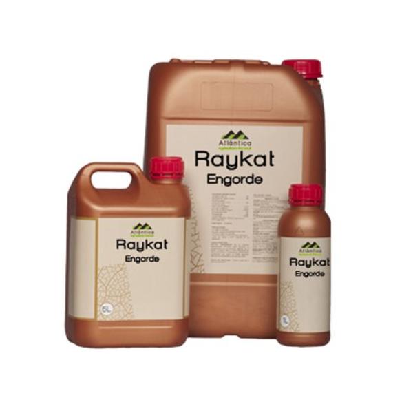 Raykat