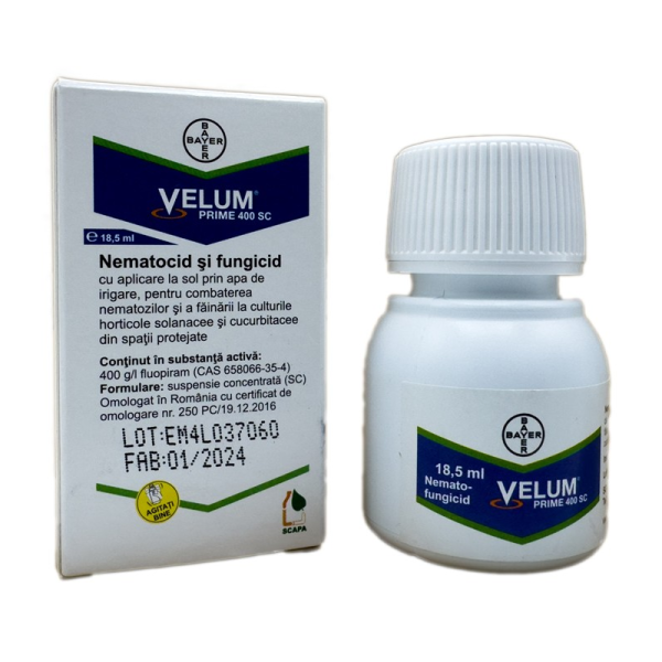 Velum Prime