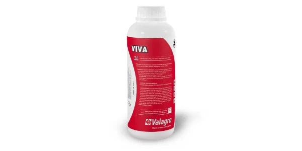 Viva