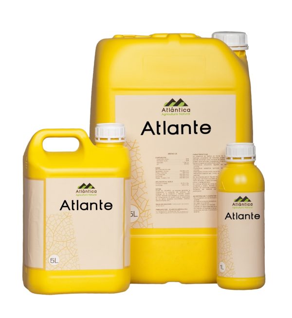 Atlante