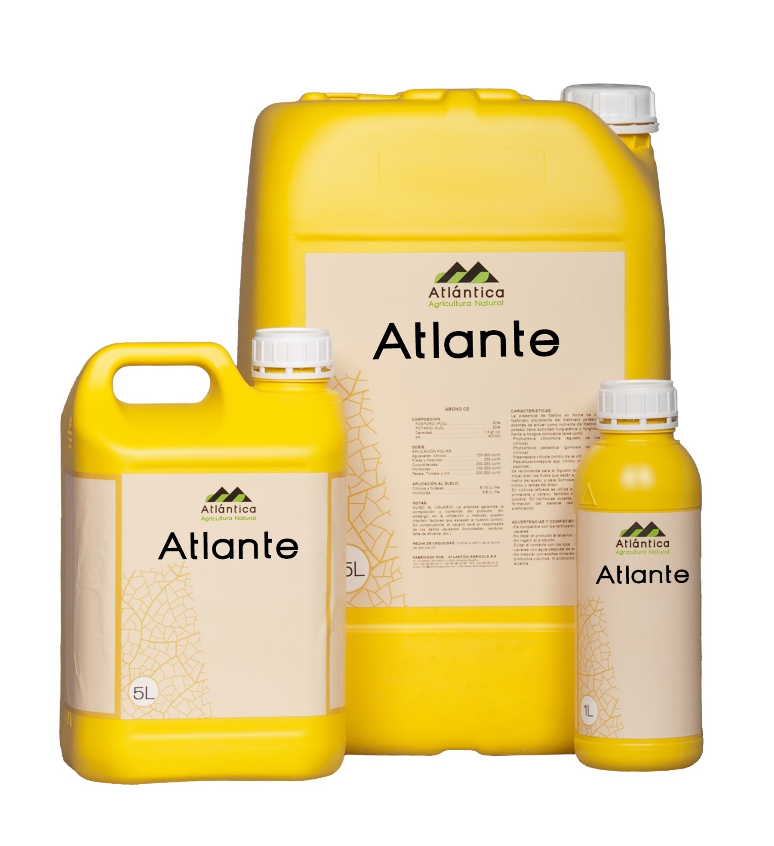Atlante