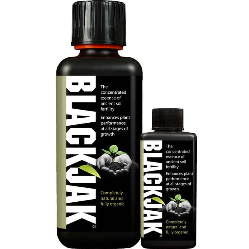 Blackjak