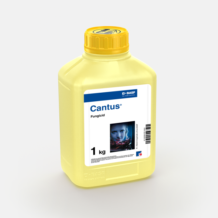 Cantus