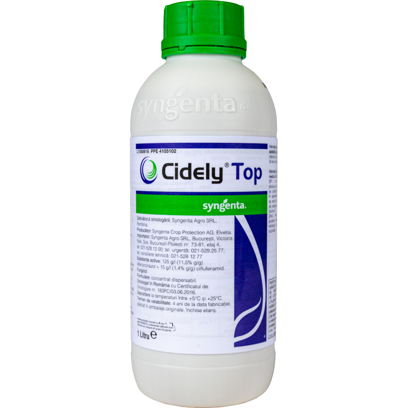 Cidely Top