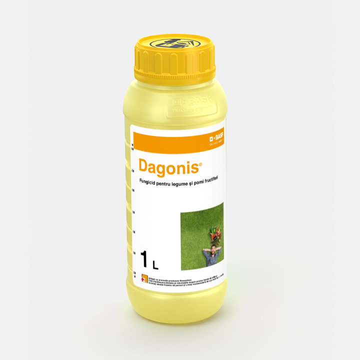 Dagonis