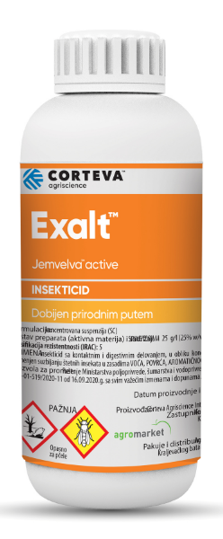 Exalt