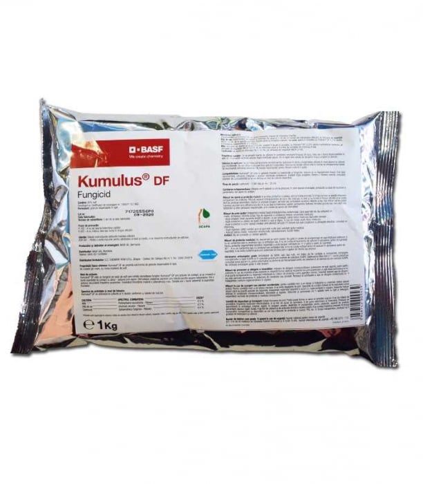 Kumulus
