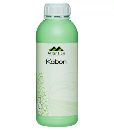 Kabon
