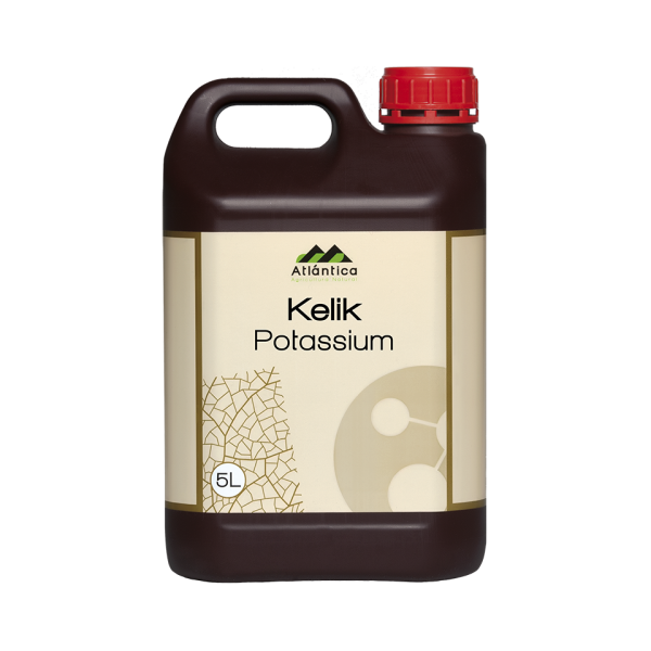 Kelik