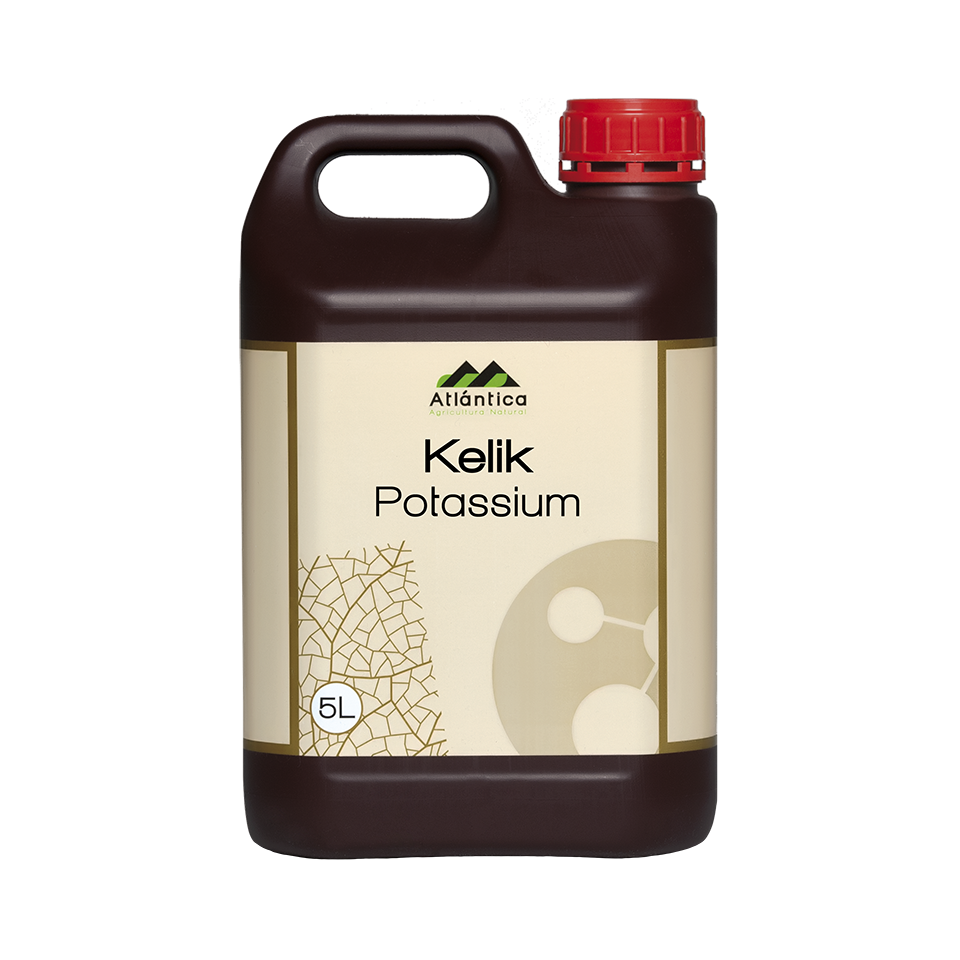 Kelik