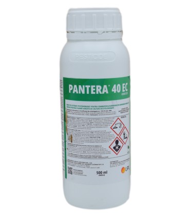 Pantera