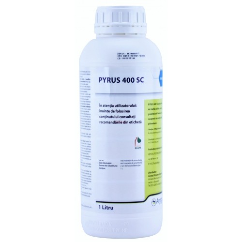 Pyrus