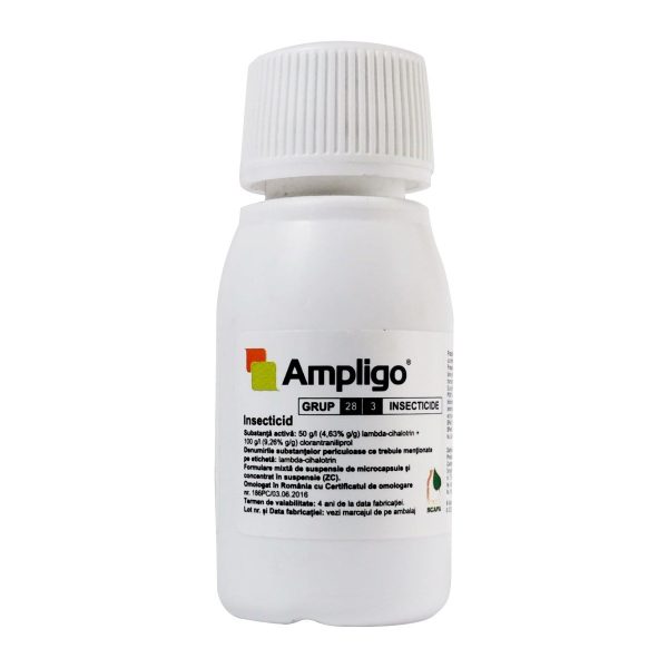 Ampligo