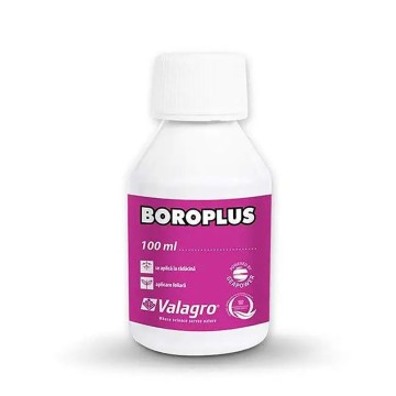 Boro Plus