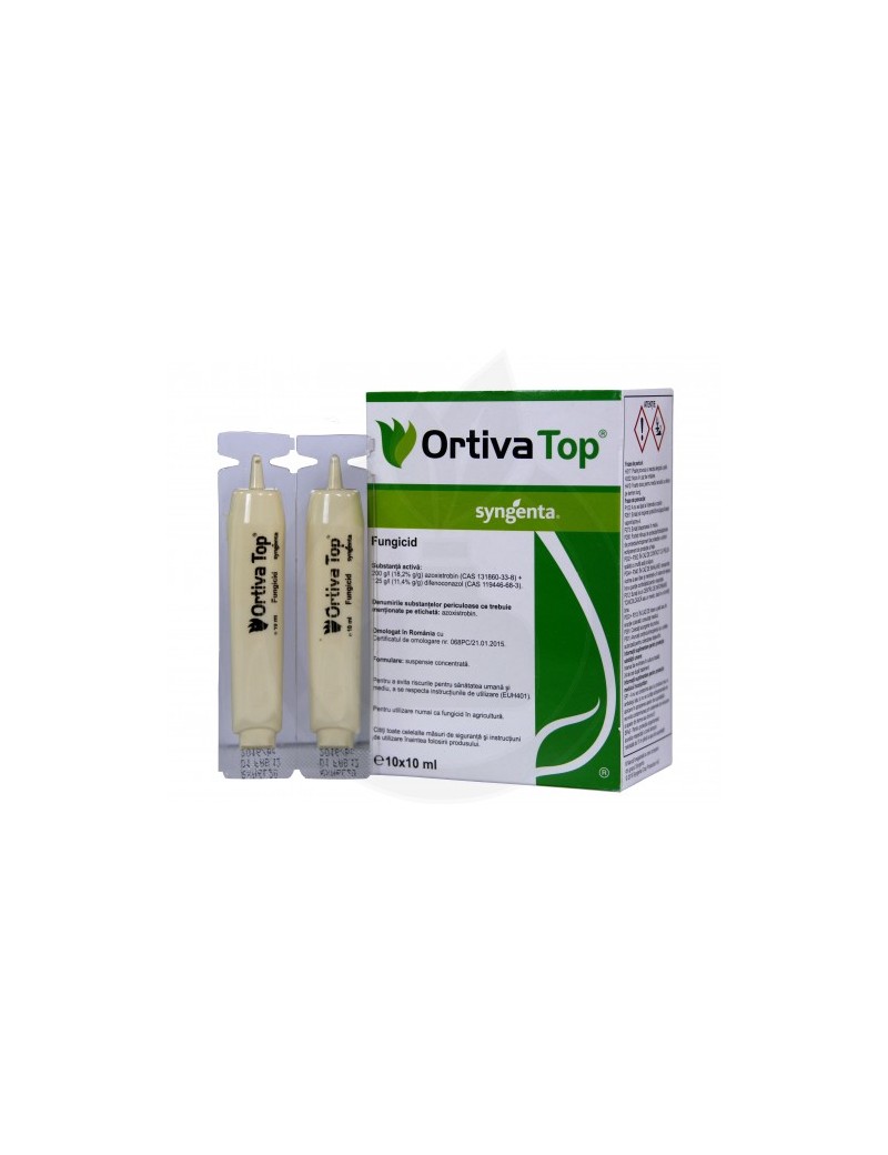 Ortiva Top