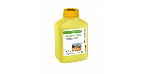 Regalis plus