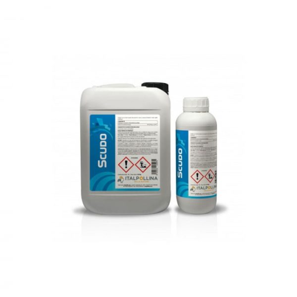 Scudo