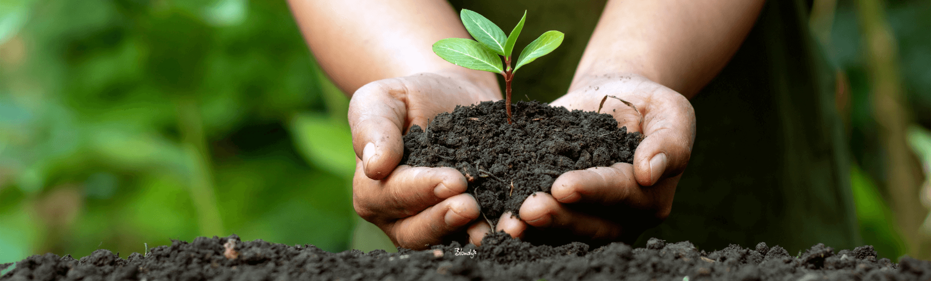 Produse BIO