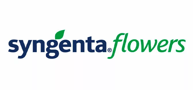 SYNGENTA FLOWERS