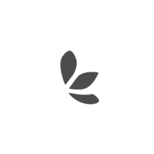 Substituent