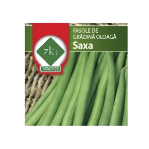 Seminte de fasole Fonix (Saxa) ZKI