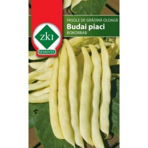 Seminte de fasole Budai Piaci ZKI