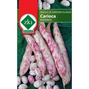 Seminte de fasole Carioca ZKI