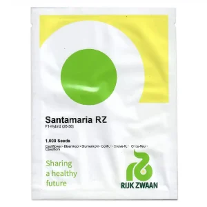 Seminte de conopida Santamaria RZ