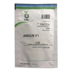 Seminte de castraveti Amour Bejo