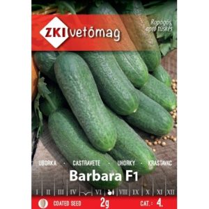 Seminte de castraveti Barbara F1 ZKI
