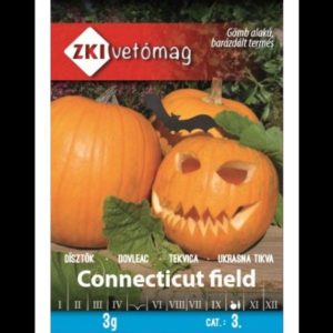 Seminte de dovleac Connecticut Field ZKI