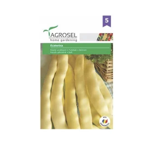 Seminte de fasole Ecaterina Agrosel