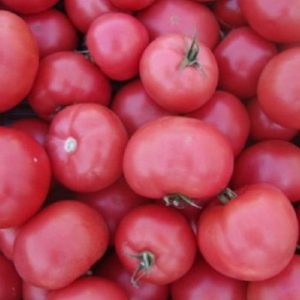 Seminte de tomate Esmira RZ