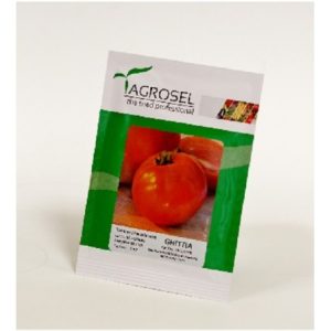 Seminte de tomate Ghittia