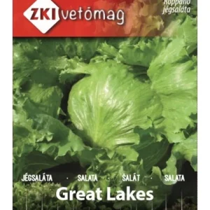 Seminte de salata Great Lakes ZKI