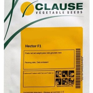 Seminte de tomate Hector