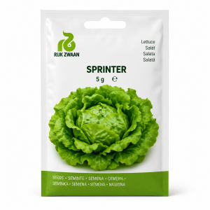 Seminte de salata Sprinter RZ
