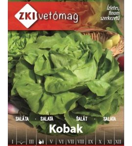 Seminte de salata Kobak ZKI