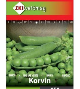 Seminte de mazare Korvin ZKI