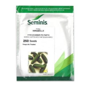 Seminte de castraveti Mirabelle Seminis