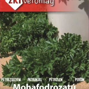 Seminte de patrunjel Mohafodrozatu ZKI