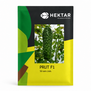 Seminte de castraveti Prut F1 Hektar