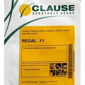 Seminte de castraveti Regal F1 Clause