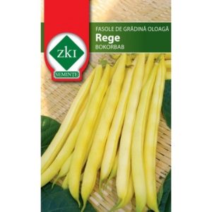 Seminte de fasole Rege ZKI