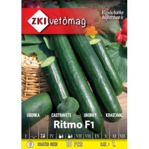 Seminte de castraveti Ritmo F1 ZKI