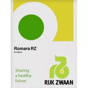 Seminte de castraveti Romara F1 RZ