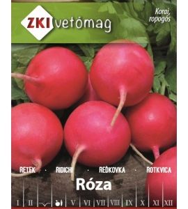 Seminte de ridich Roza ZKI
