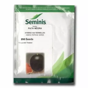 Seminte de pepene Pata Neagra Seminis