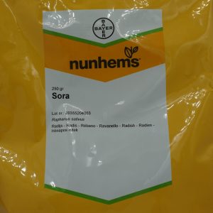 Seminte de ridich Sora Nunhems