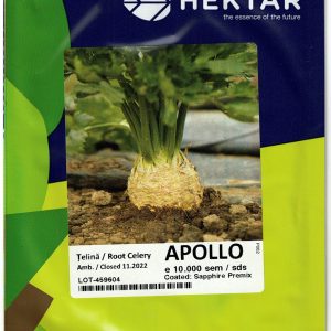 Seminte de telina Apollo - Heklar